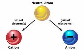 The Anion-Cation Connection in Soil | EcoFarming Daily
